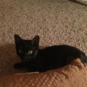 Meet your Posher, Lori